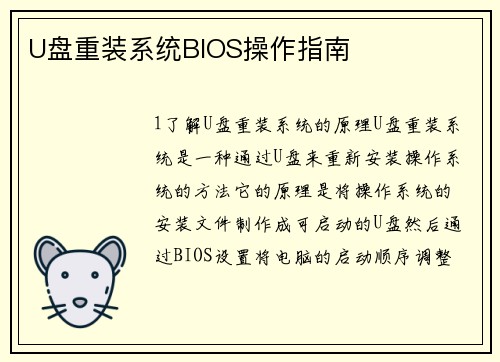 U盘重装系统BIOS操作指南